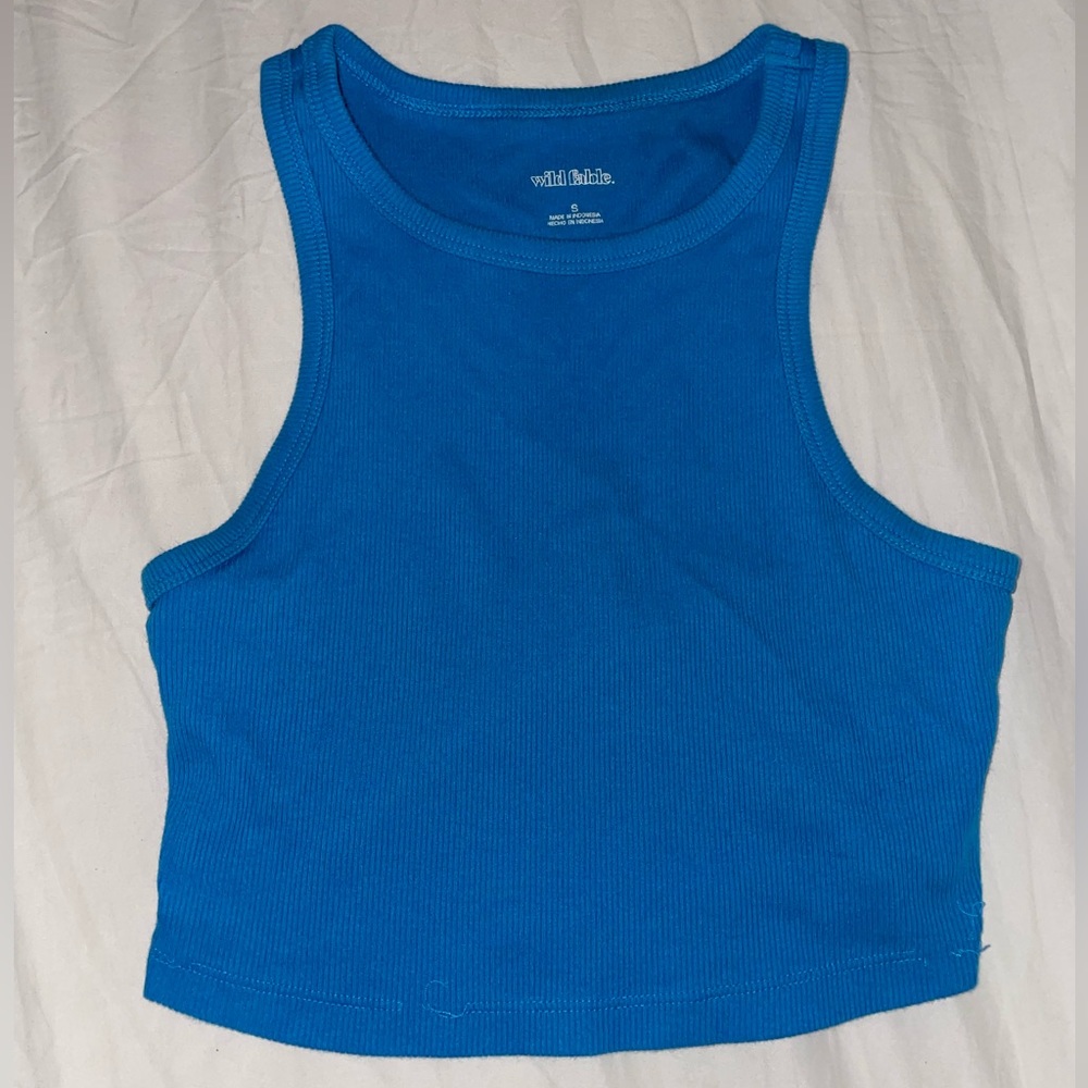 Size S blue wild fable crop top